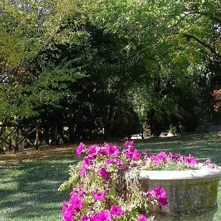 Agriturismo Villa Mozart Nel Verde Gubbio Exterior photo