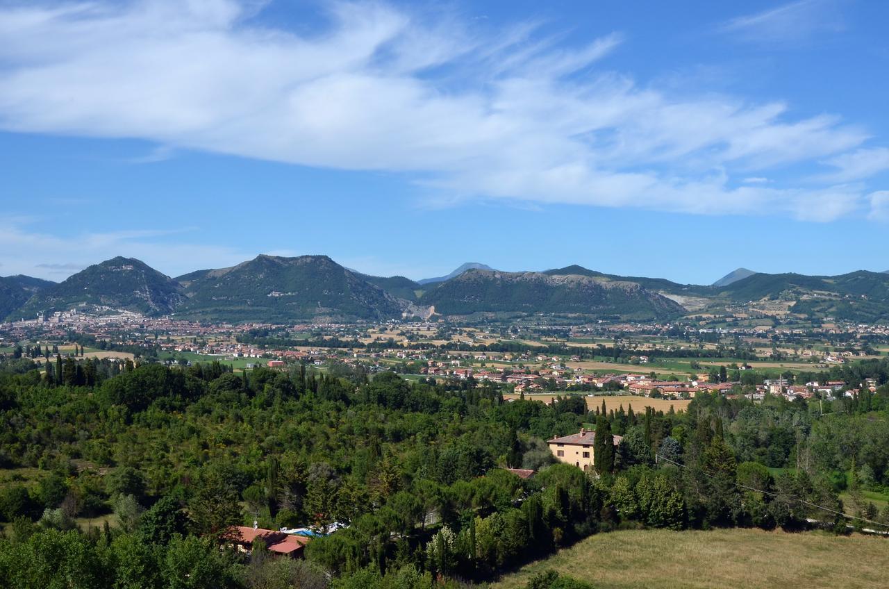 Mozart Nel Gubbio