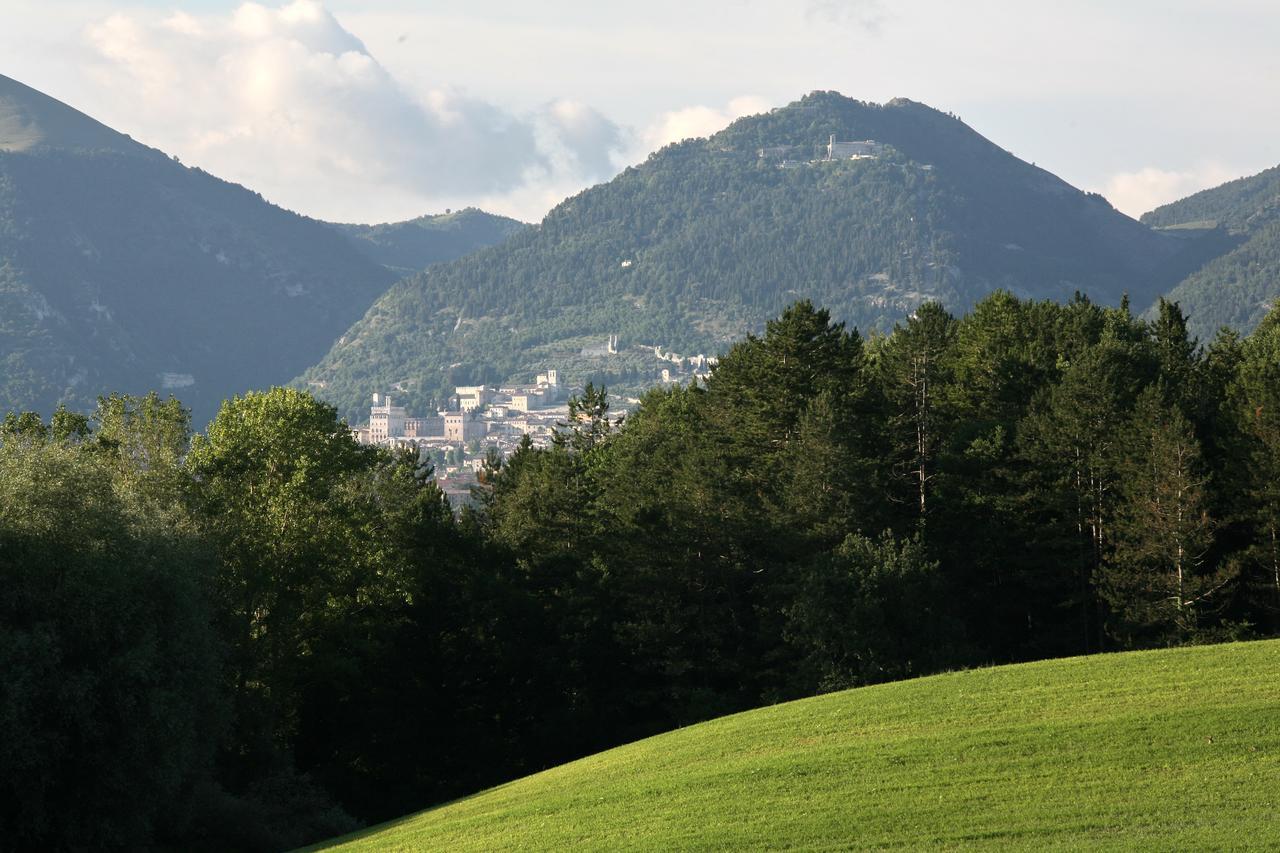 Apartment Mozart Nel