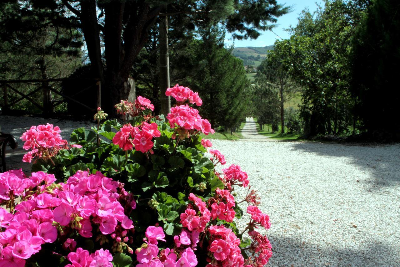 Apartment Mozart Nel Gubbio